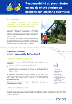 Responsabilit&eacute; propri&eacute;taire en cas de chute d'arbre